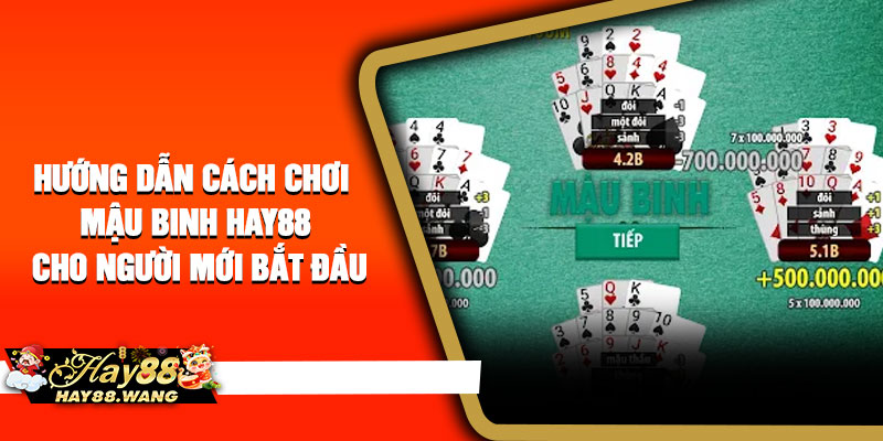 Hướng dẫn cách chơi Mậu Binh Hay88 cho người mới bắt đầu